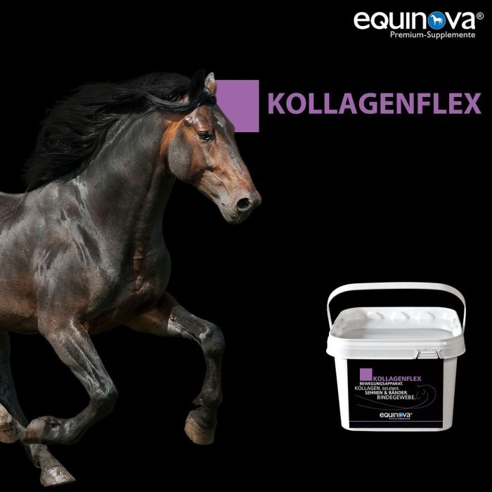 equinova Kollagenflex 4.4 LB