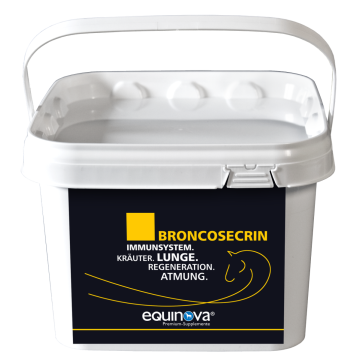 equinova Broncosecrin Powder 3 LB Bucket