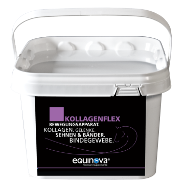 equinova Kollagenflex 4.4 LB