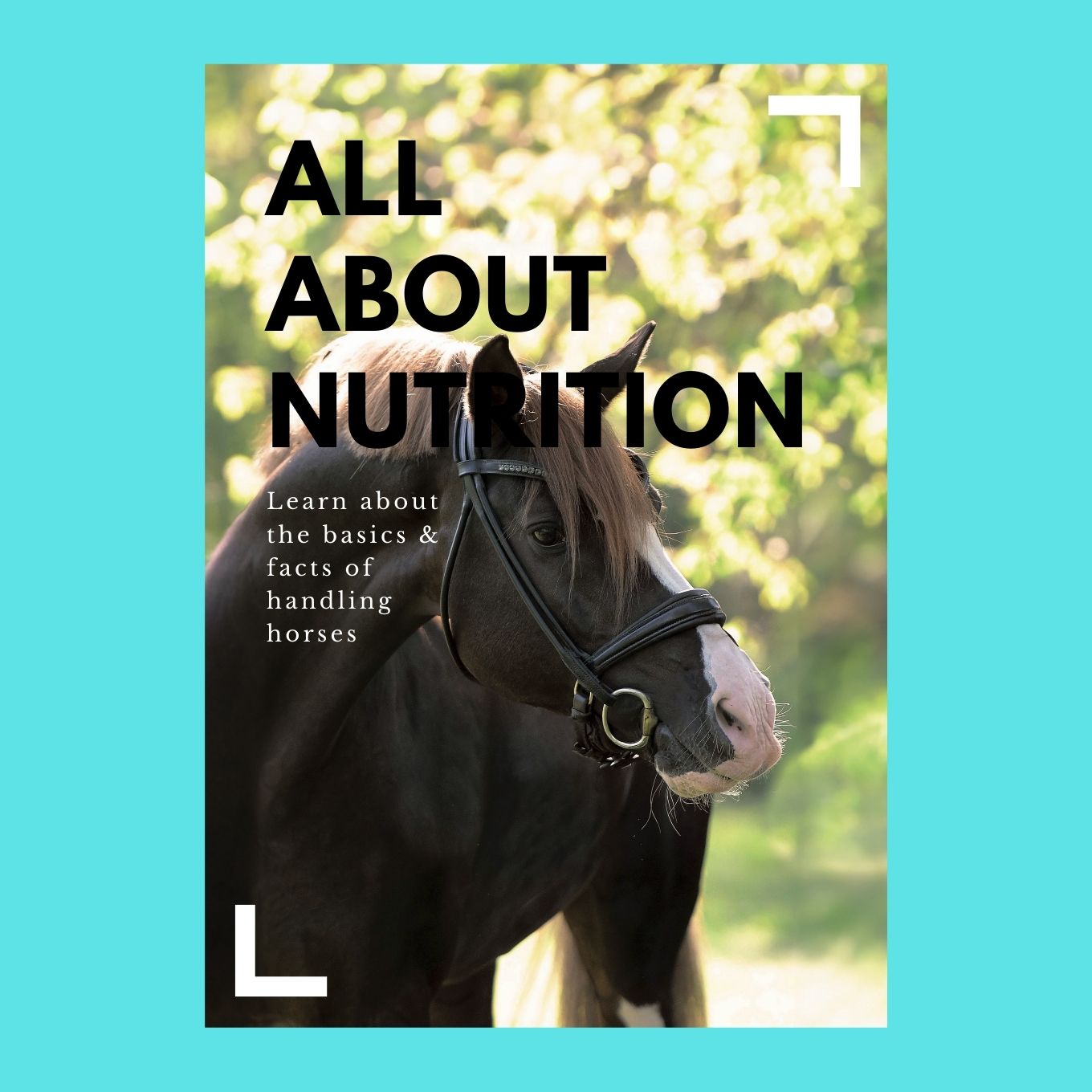 Prescription meds, delivered fast